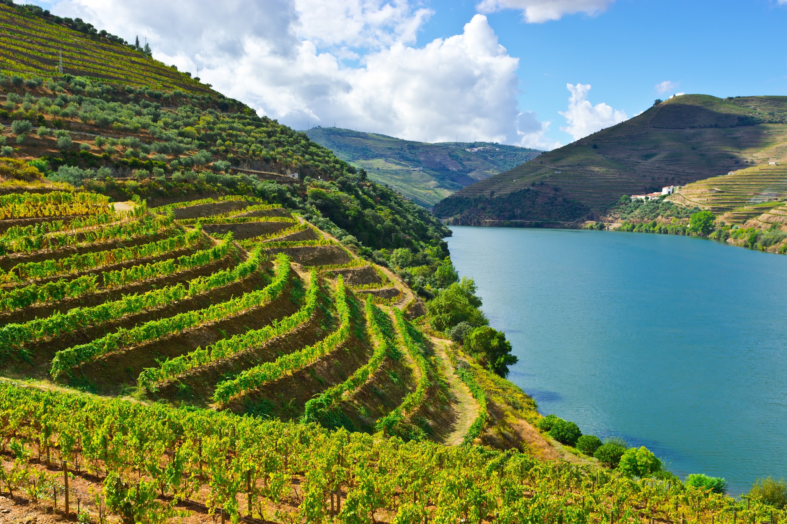 Douro Valley near Six Senses
