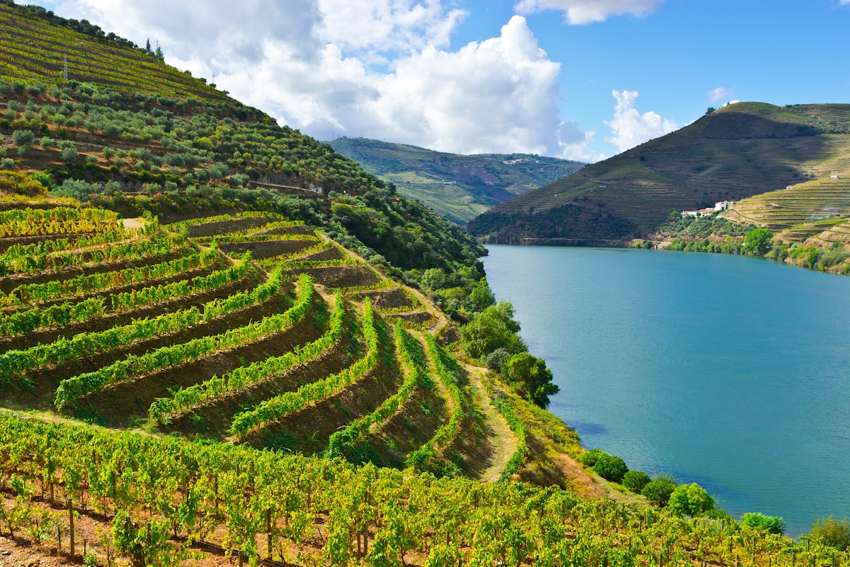 Portugal's 9-Day Chronicle: Lisbon to Porto for Couples