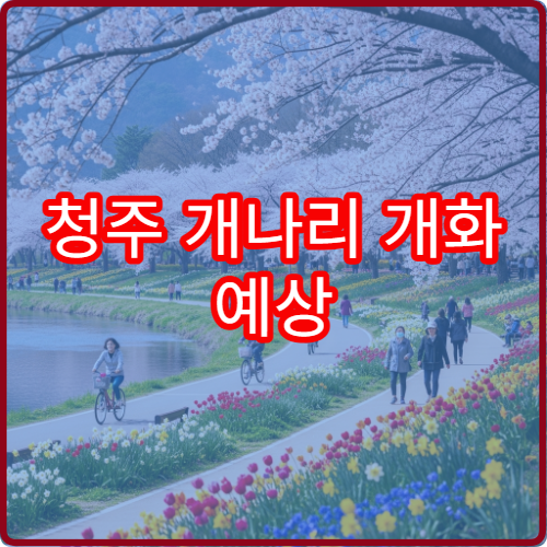 청주 개나리 개화 예상 청주 개나리 절정