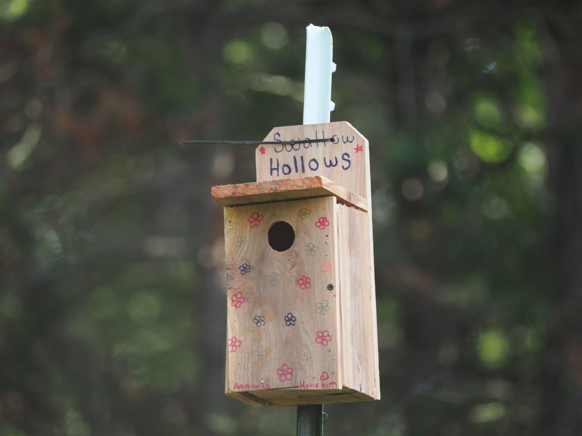 A bird box built by the Biology Club