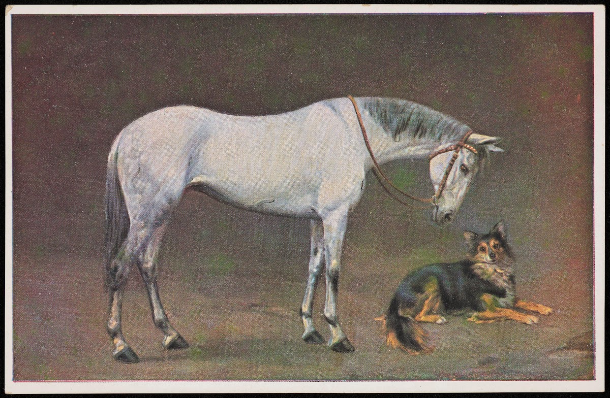 Horse and dog 20th century