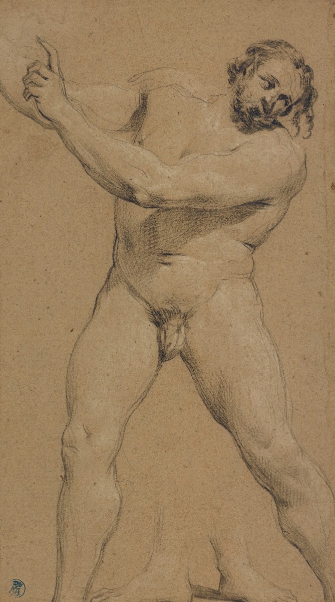 Study of a Male Nude 16301635