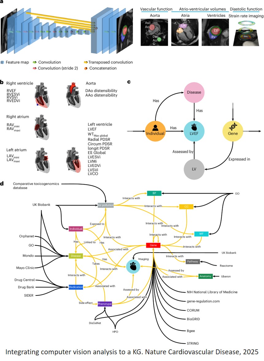 A multimodal vision knowledge graph of cardiovascular disease