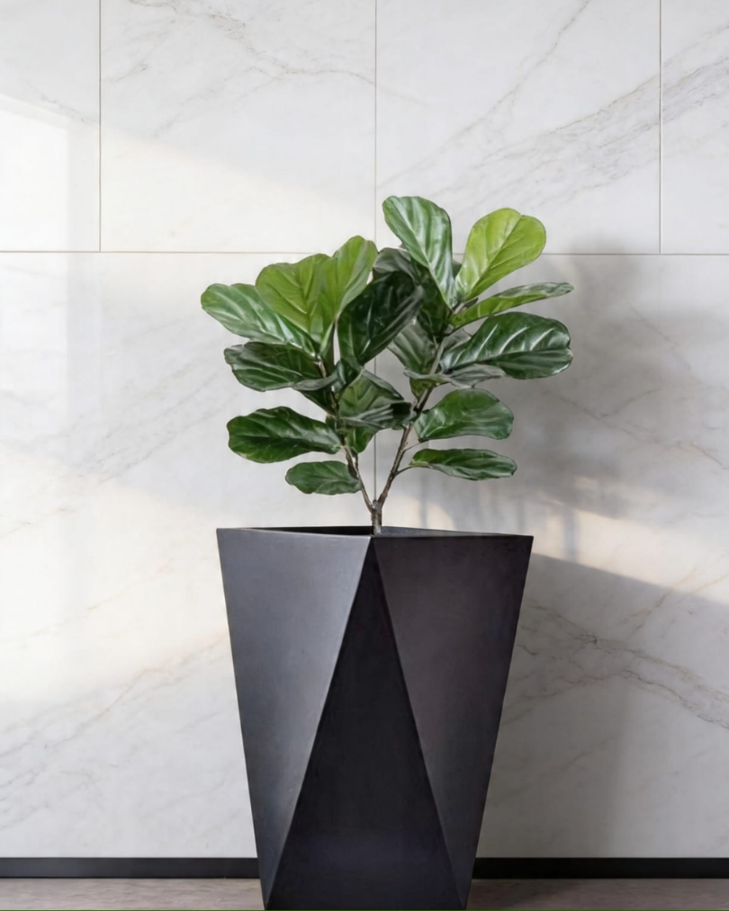 WMS concrete pot design 53