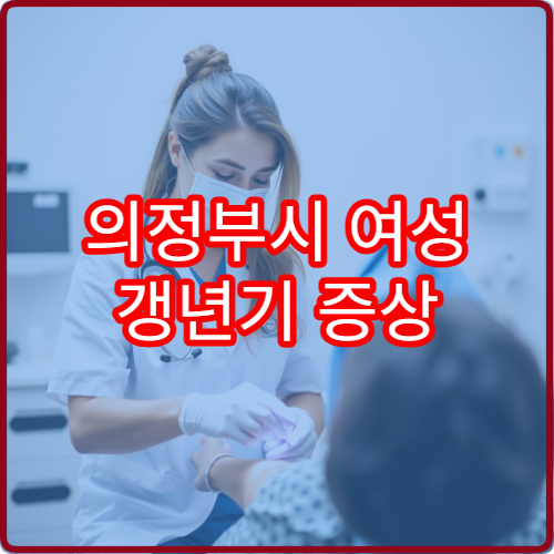 의정부시 여성 갱년기 증상 검사와 호르몬 상담 병원 정보