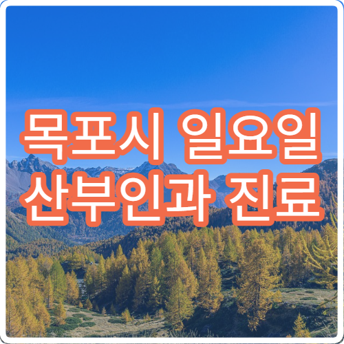목포시 일요일 산부인과 진료 병원 – 생리통, 임신·출산 관련 응급 진료 가능 병원
