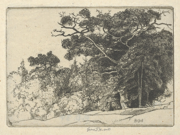 Browns Oak probably 1910