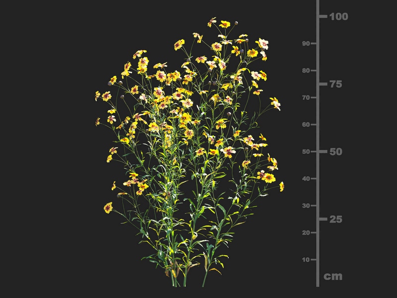 Maxtree - Plant Models Vol.112