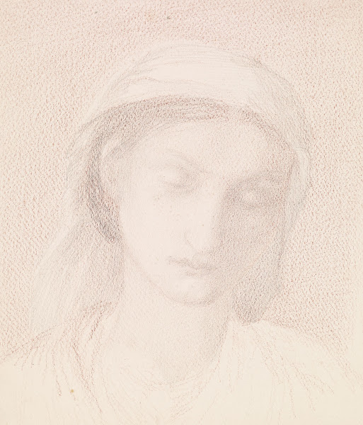 Female  Head Study of a Woman