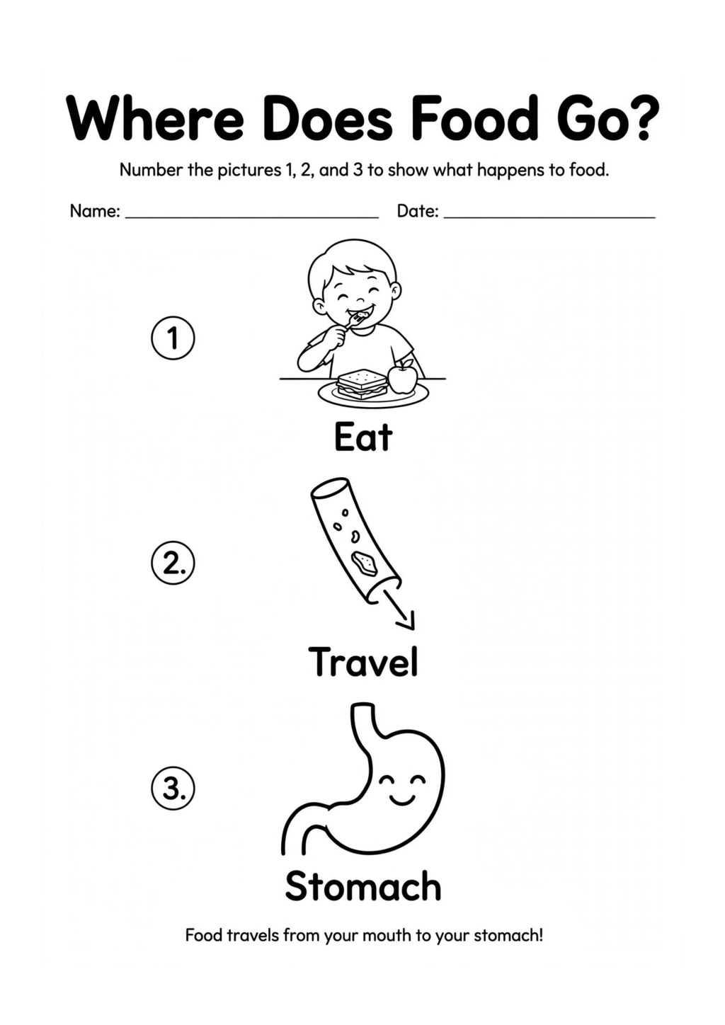 Where Does Food Go?