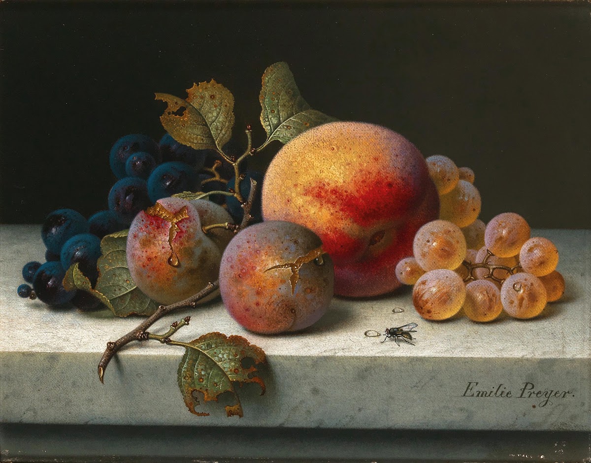 Still Life with Peach Plums Grapes and a Fly