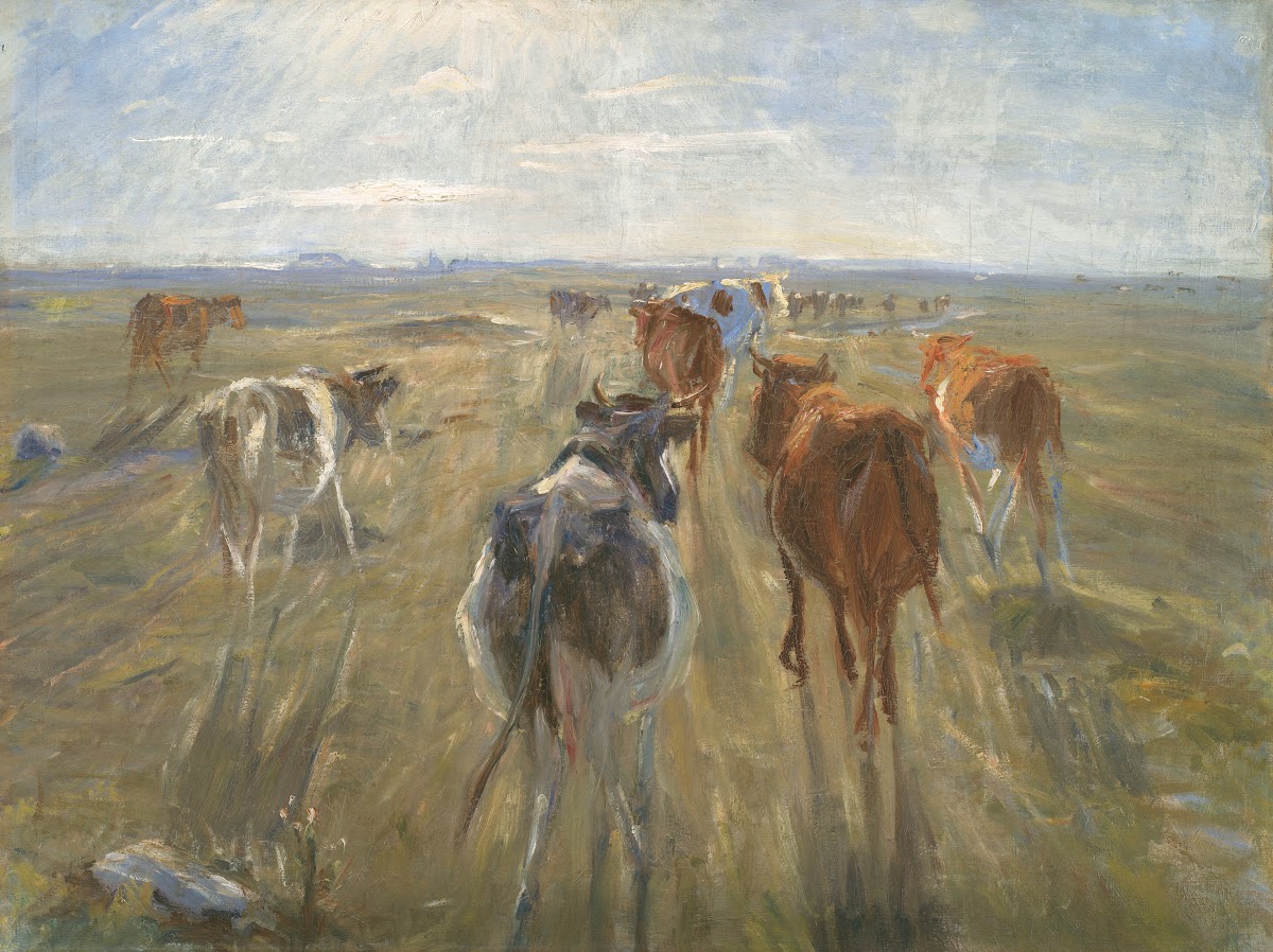 Long Shadows Cattle on the Island of Saltholm 1888  1892
