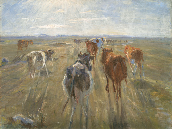 Long Shadows Cattle on the Island of Saltholm 1888  1892