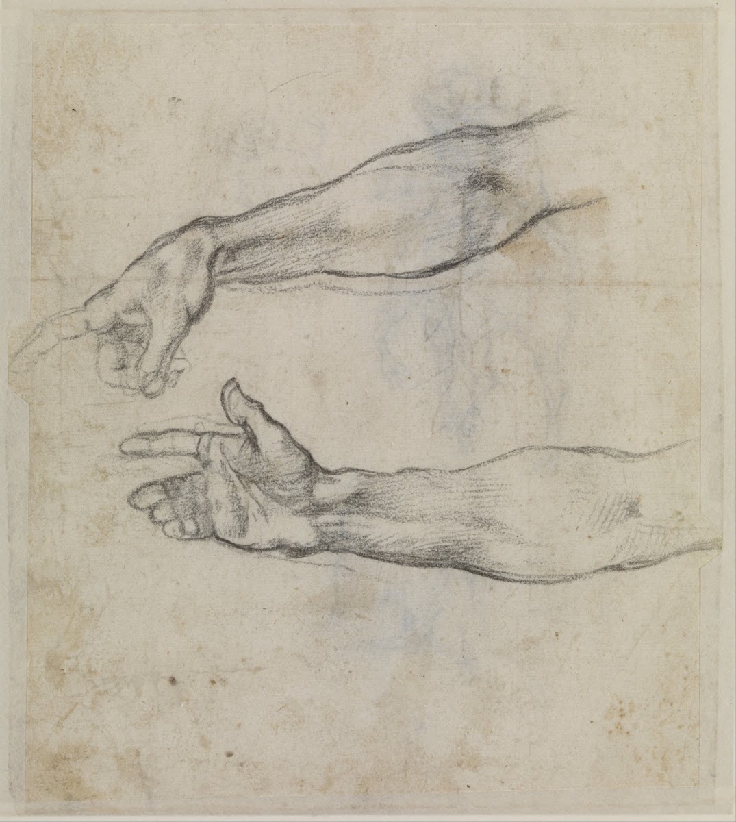 Studies of an outstretched arm for the fresco The Drunkenness of Noah in the Sis