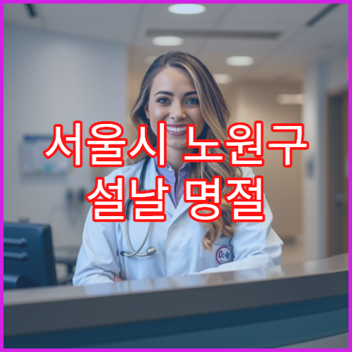 서울시 노원구 설날 명절 내과 연휴 진료 병원 감기·소화불량·고혈압 응급 관리 가능