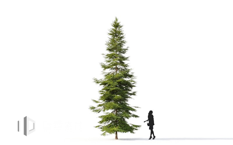 Maxtree - Plant Models Vol.9