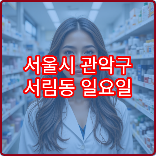 서울시 관악구 서림동 일요일 당번약국 안내 주말 당직약국 운영 확인