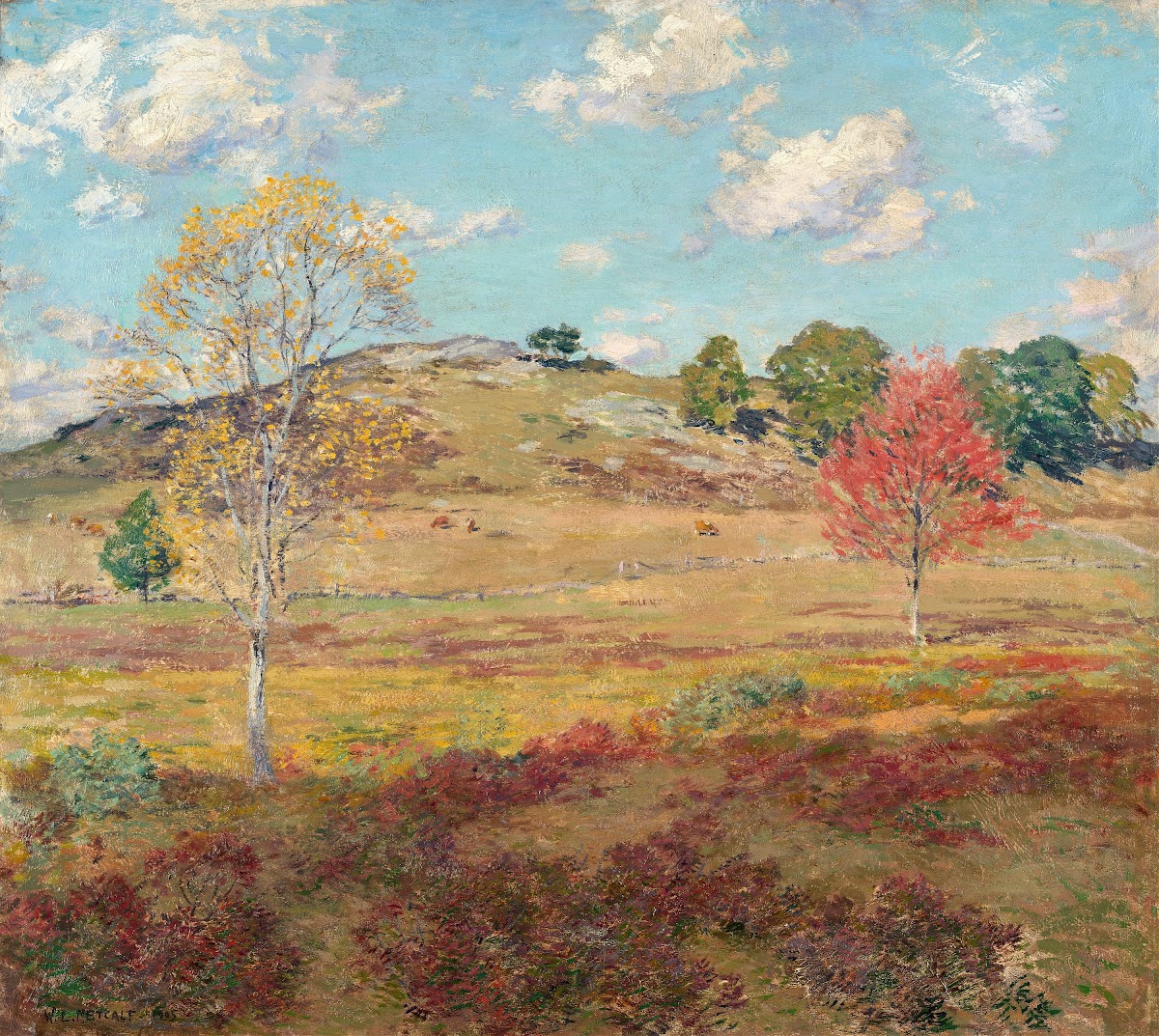 EarlyAutumn 1905