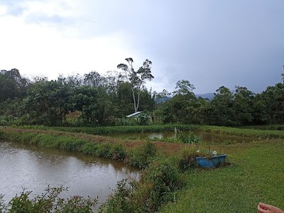 Tanah Pertanian Jalan Sungai Lui, Hulu Langat — foto 5/8