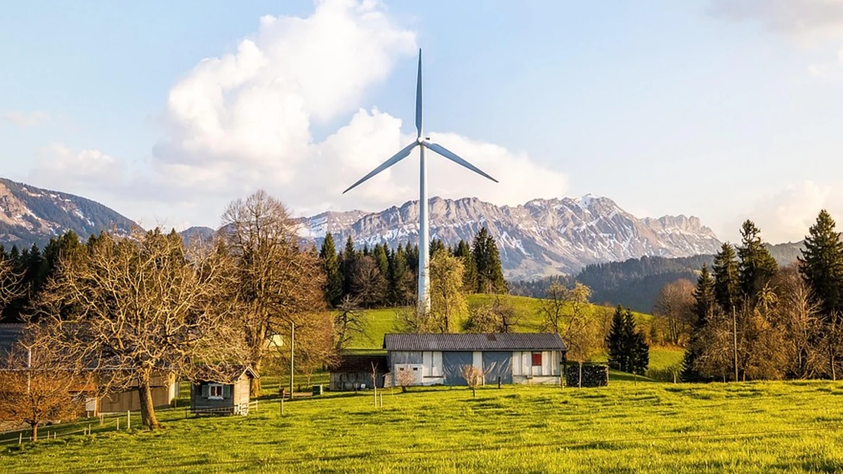 클라우드 기반 AI 서비스 구조와 비용 효율성 비교