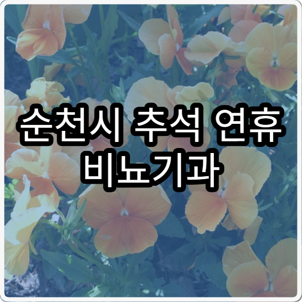 순천시 추석 연휴 비뇨기과 진료 병원 운영 시간 총정리