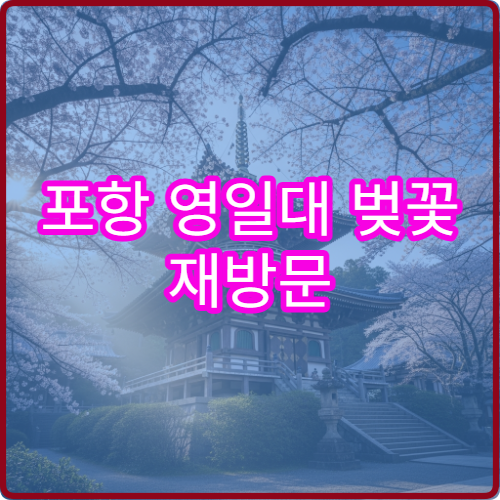 포항 영일대 벚꽃 재방문 이유 평일vs주말 솔직 후기 비교 분석