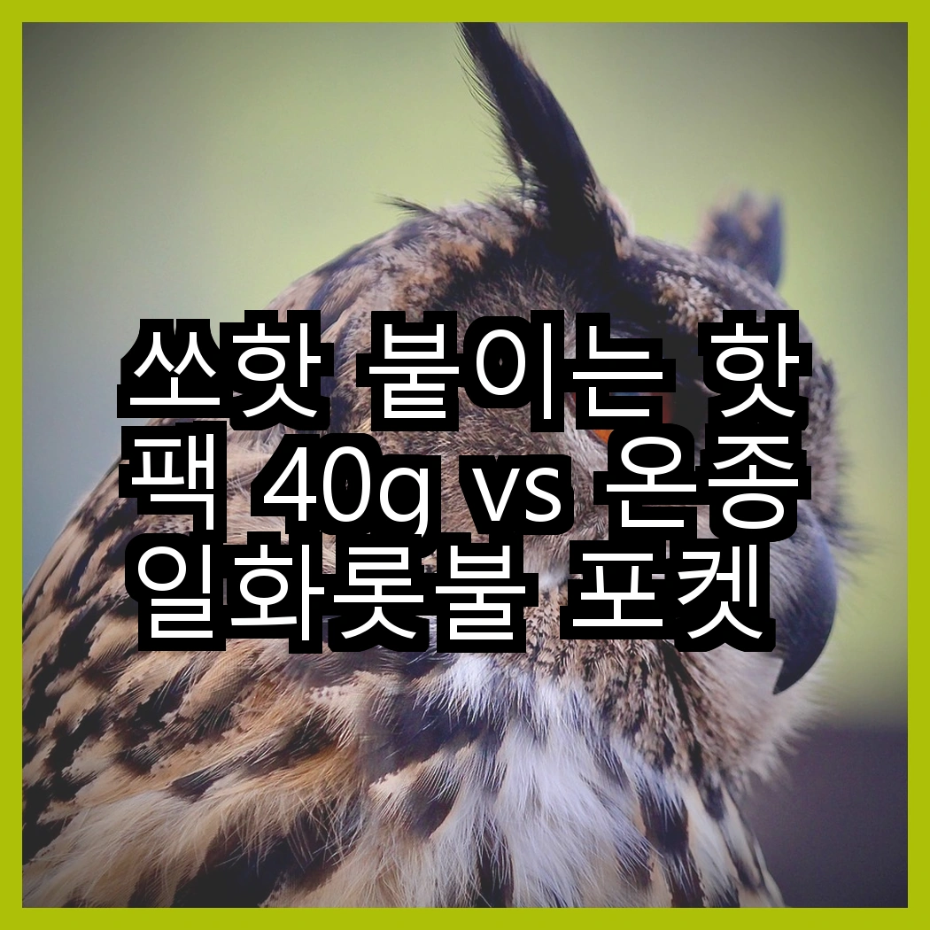 쏘핫 붙이는 핫팩 40g vs 온종일화롯불 포켓 핫팩 90g, 어떤 선택이 더 따뜻할까? 썸네일
