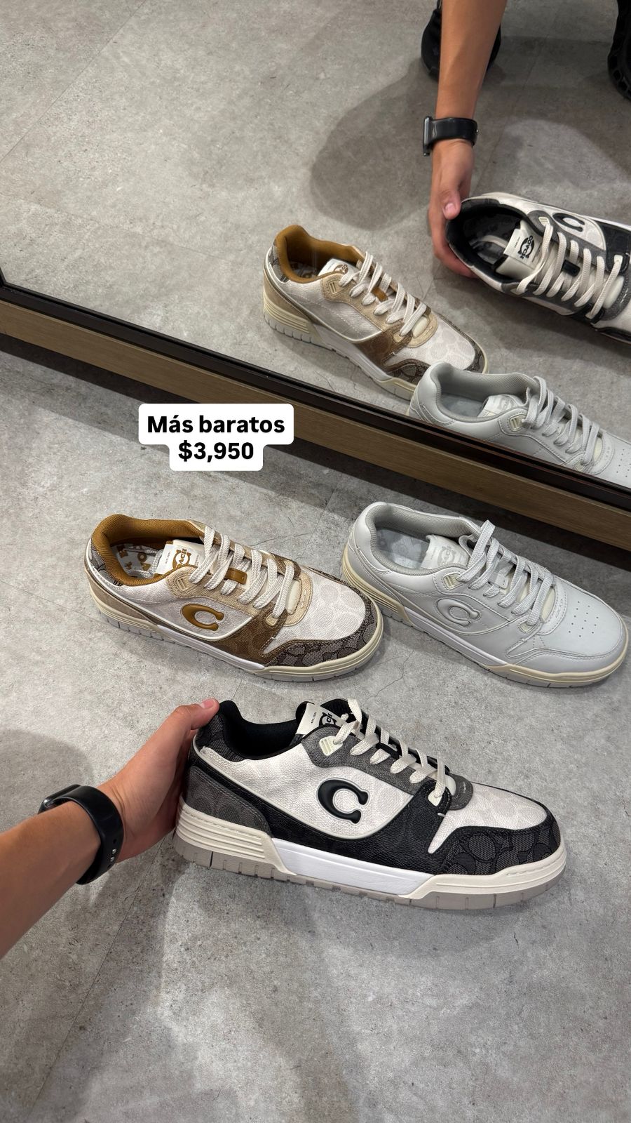 Coach Variados