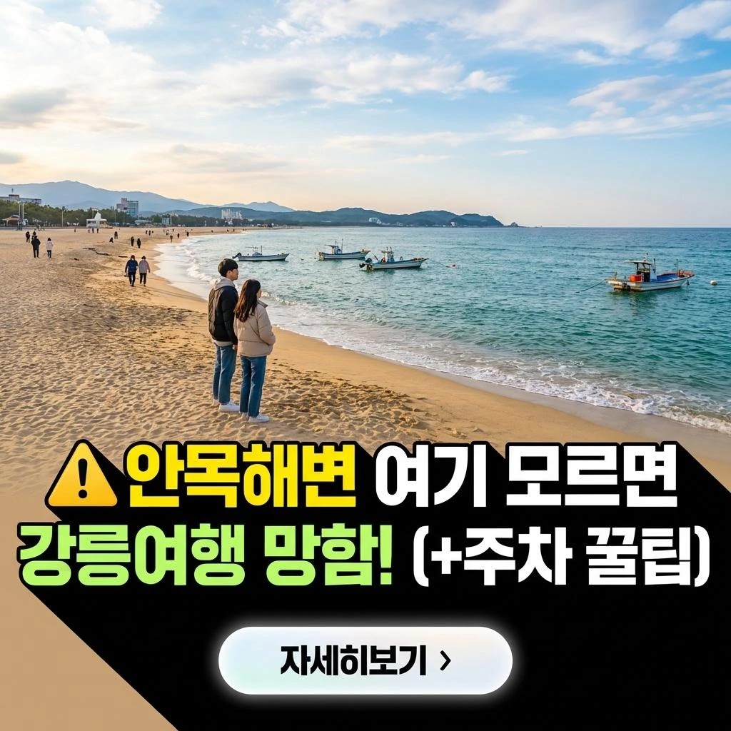 강릉 안목해변 2026: VIP를 위한 프리미엄 경험 완벽 가이드
