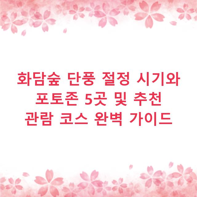 화담숲 단풍 절정 시기와 포토존 5곳 및 추천 관람 코스 완벽 가이드