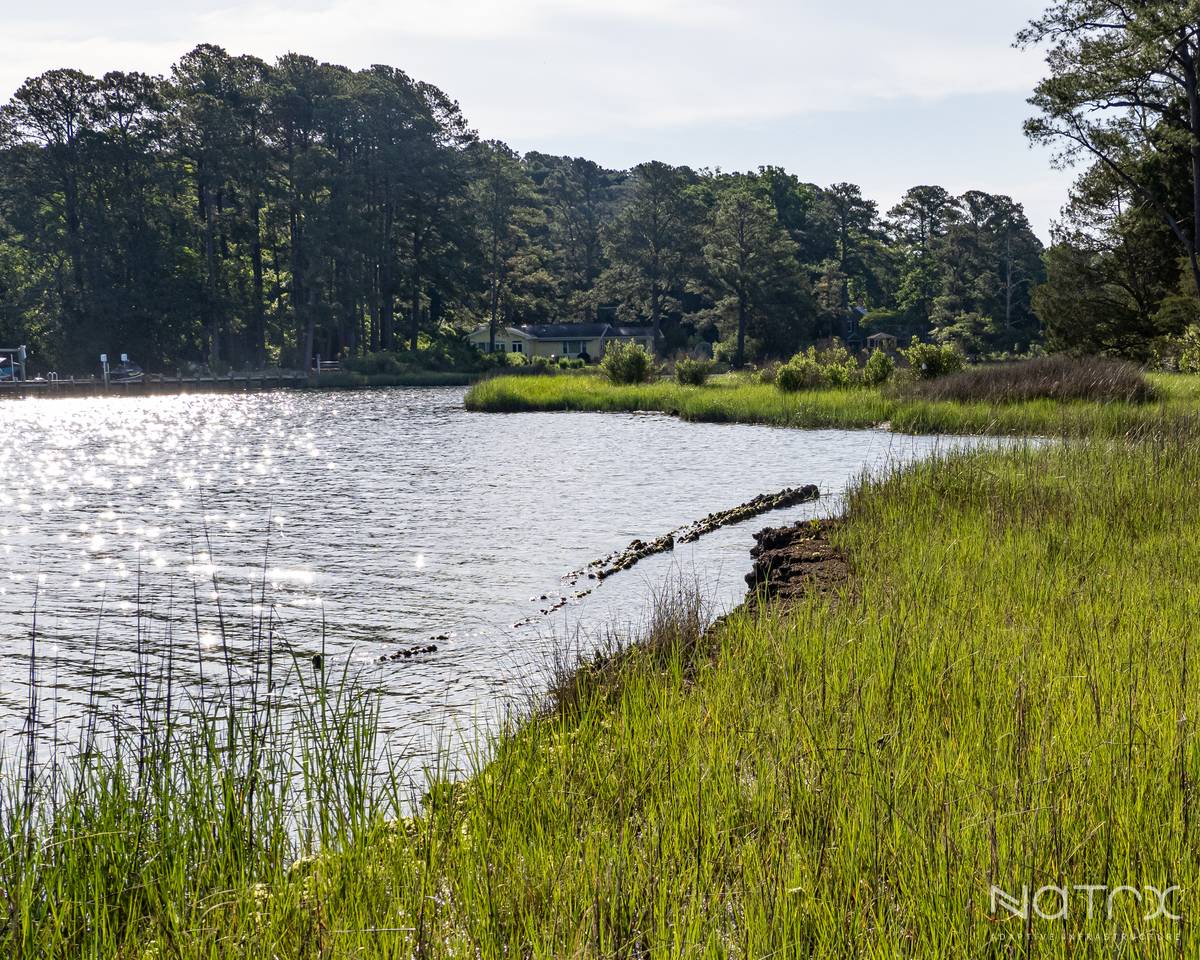 Port Haywood 052824 25.jpg