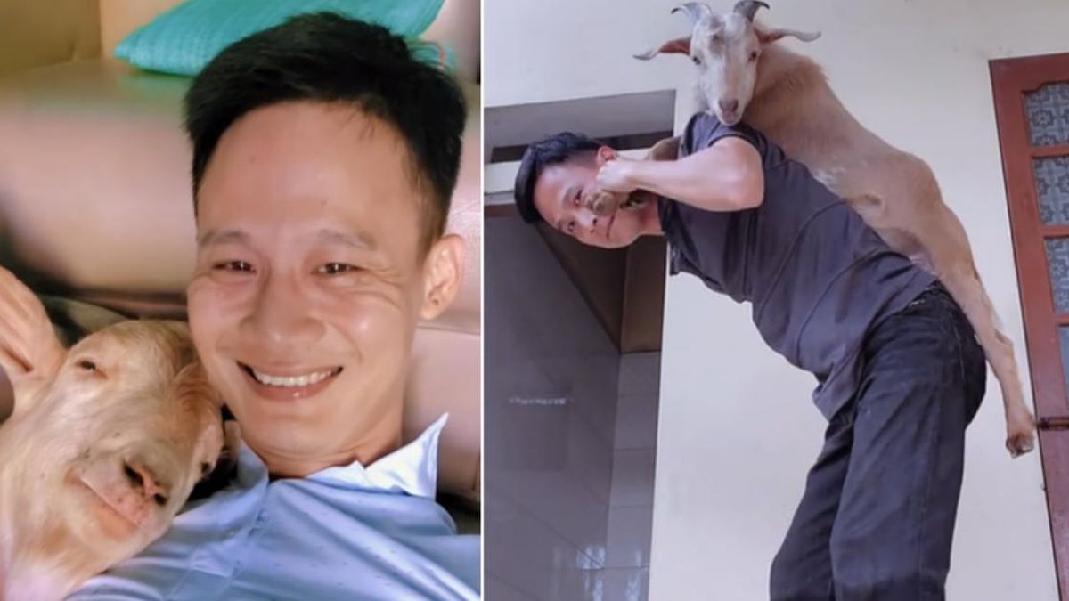 9X Hải Phòng nuôi thú cưng có sừng, chủ đi xa liền lên sân thượng đợi - Báo VietnamNet