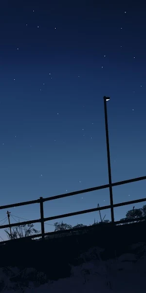 Night Sky, Silhouette, Starry, Landscape 4K Wallpaper Background