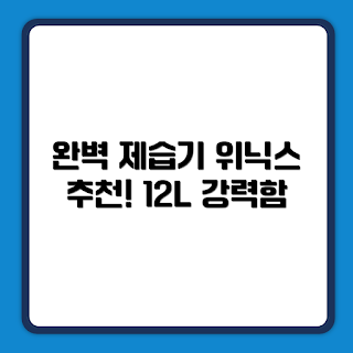 위닉스 뽀송 제습기, 12L 제습기 추천, 겨울 습기 문제, 최신 제습기, 실내 공기 관리