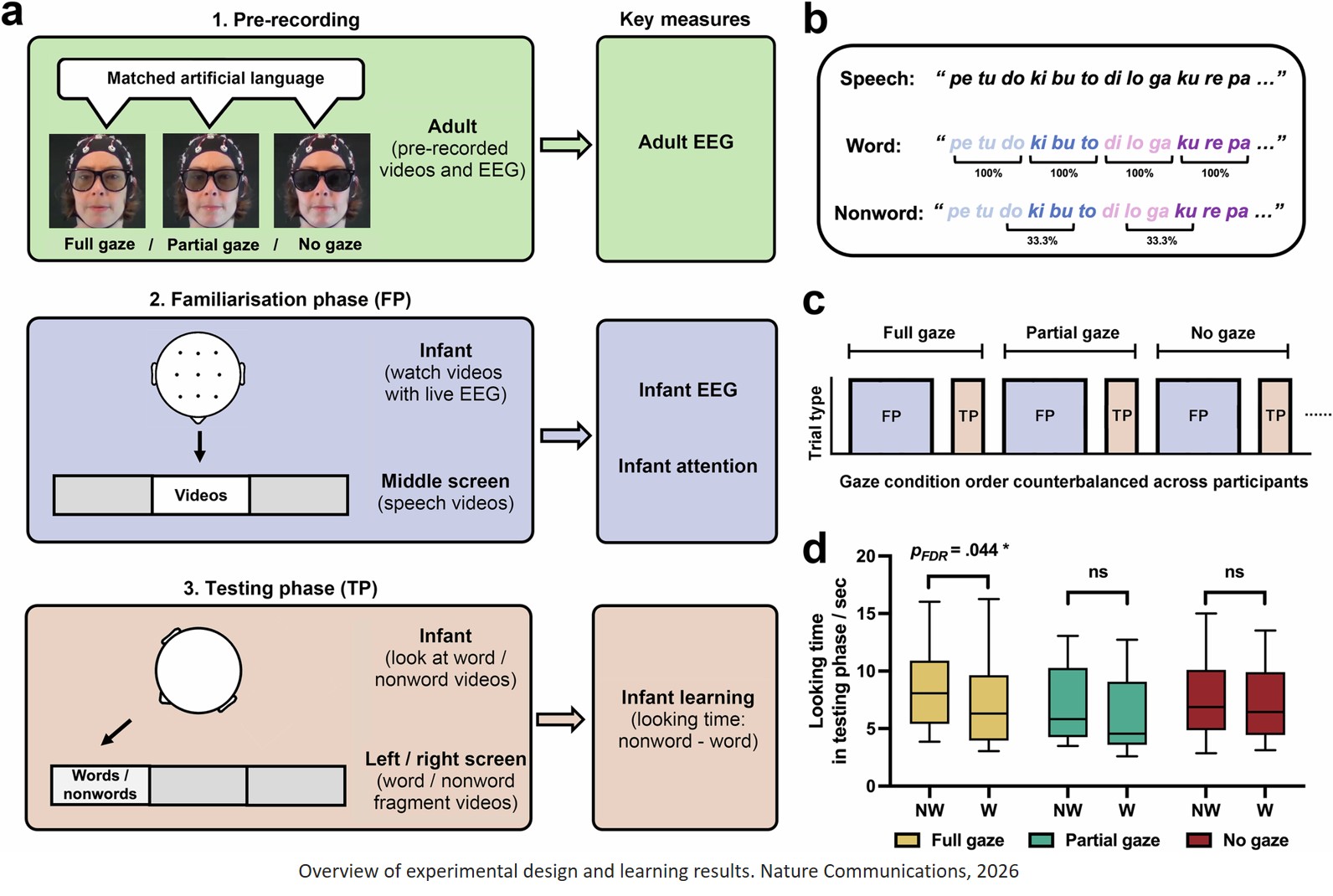 Adult-to-infant unidirectional neural coupling mediates selective social learning in infants from the United Kingdom and Singapore