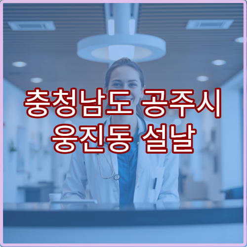 충청남도 공주시 웅진동 설날 명절 당직약국 문 여는 약국 안내 정리