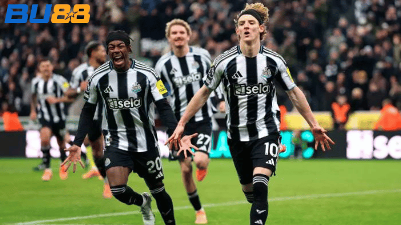 Phong độ gần đây của Bayer Leverkusen  - Newcastle 