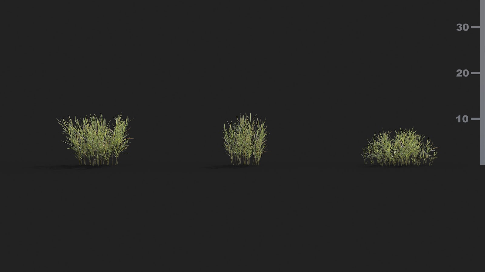 Maxtree - Plant Models Vol.21