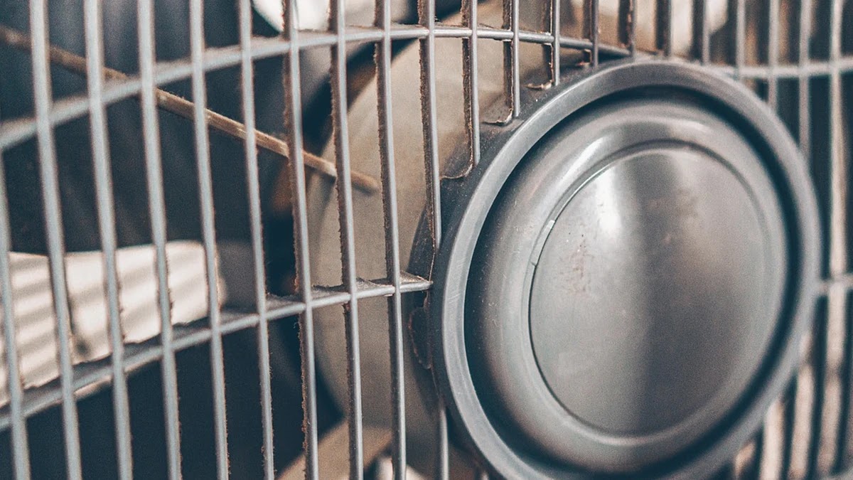 여름 선풍기 구매 전 네이버플러스멤버십과 신용카드 결합 할인법