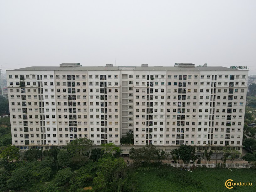 <p>Dự án Chung cư Ecohome 1 thiết kế căn hộ với phong cách hiện đại, đảm bảo tất cả căn hộ đều tận dụng ánh sáng tự nhiên một cách triệt để, mỗi căn hộ đều có ban công riêng biệt, 100% các phòng đều có ánh sáng tự nhiên. </p>
<p>Phòng khách và phòng ăn được thiết kế liên thông, có thể kết nối với bếp và các phòng đa năng tạo thành một không gian rộng lớn. Phòng ngủ chính rộng rãi tiện nghi, mặt bằng căn hộ hợp lý, các căn hộ đều có logia xanh mát.</p>