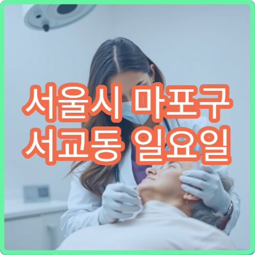 서울시 마포구 서교동 일요일 외과 베인상처 응급처치 진료
