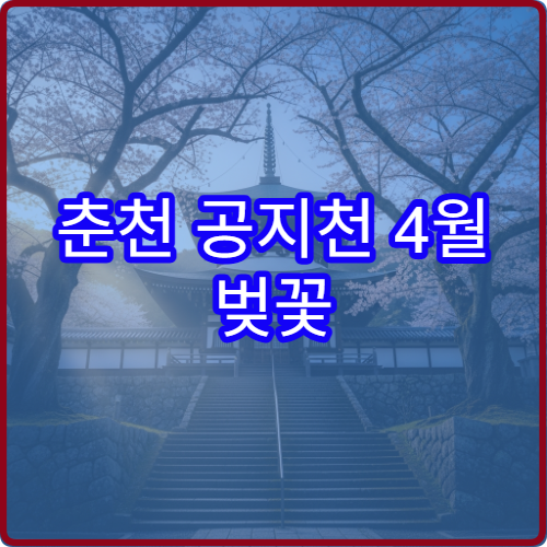 춘천 공지천 4월 벚꽃 오리배 타고 감상하는 최적 시간대