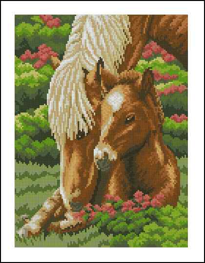 CMP 400756 Horses