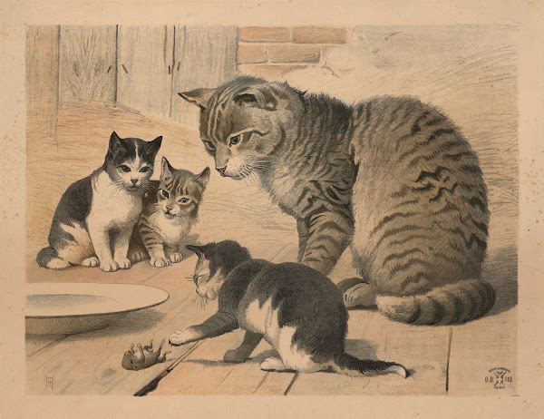 Kat 1892