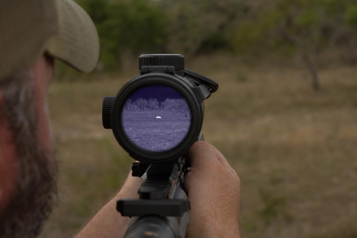thermal scope for AR-15 detecting hog heat signature in open field at night