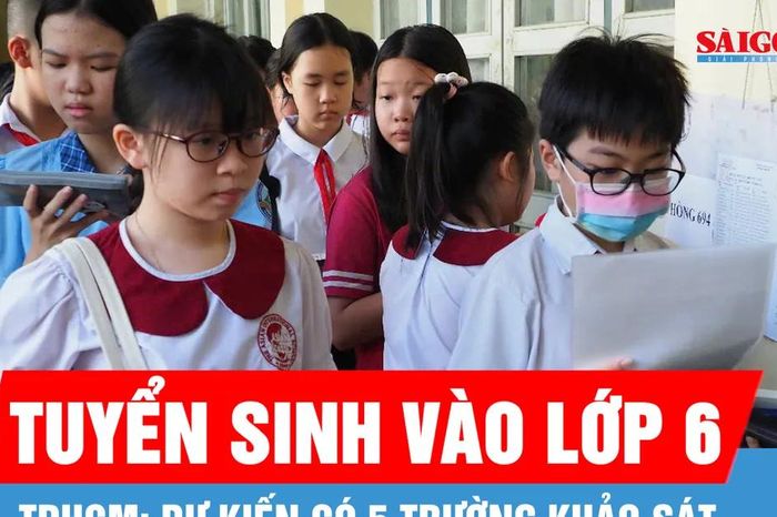 TPHCM: Dự kiến 5 trường khảo sát tuyển sinh lớp 6 - Báo Sài Gòn Giải Phóng