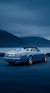 Macro Monarch Butterfly on Wildflower