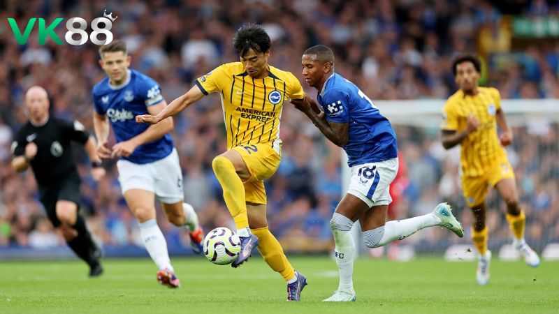 Lịch sử đối đầu Brighton vs Everton