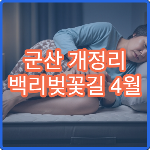 군산 개정리 백리벚꽃길 4월 새벽 산책 조용한 인생샷 코스