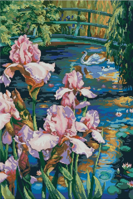 DIM35264 Iris And Swan